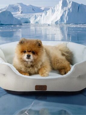 BEDSURE SIZE SMALL COOLING PET BEDS ❗️🩵🧊❄️🐾 FOR DOGS OR CATS VERY COOLING
